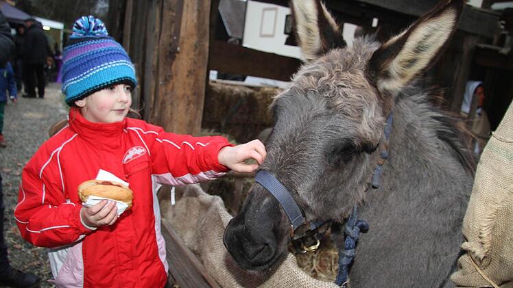Streicheltier: Ksenia Ruf findet den Esel einfach herzallerliebst. Foto: Sonja Adam