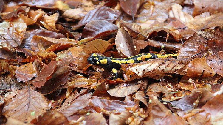 Endlich sind die Fotografen weg...