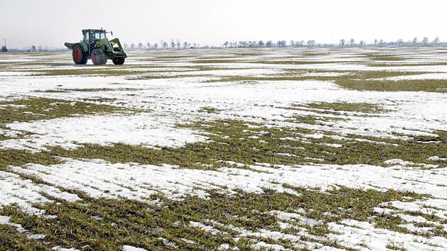 Wetter: Der Winter in Franken wird milder, aber grauer