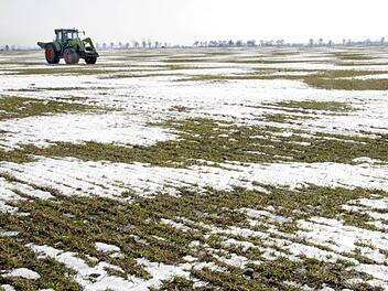 Wetter: Der Winter in Franken wird milder, aber grauer