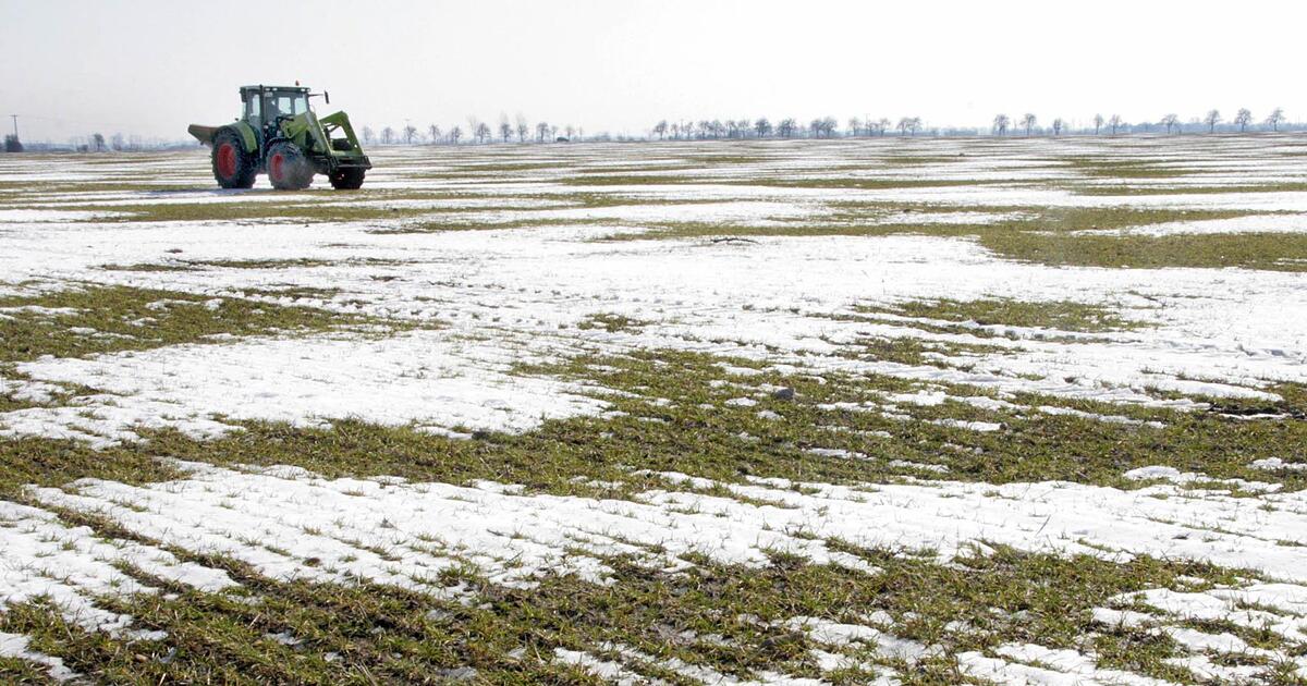 Wetter-in-Franken-Experte-wagt-Prognose-bis-kurz-vor-Weihnachten