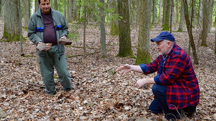 Förster Joachim Dahmer und Kreisheimatpfleger Christian Neugebauer stehen hier an einem eingefallenen Hügelgrab im Stralsbacher Gemeindewald. Die Steine, die der Förster in den Händen hält, sind Teile des Grabhügels, der jedoch eingefallen ist.  Foto: Kathrin Kupka-Hahn