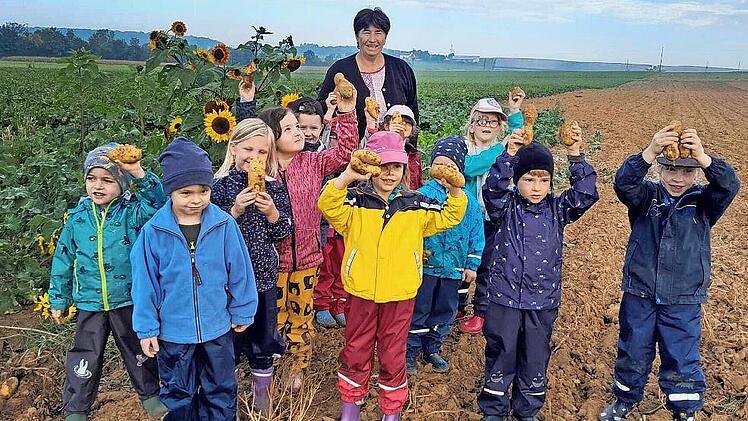 Die kleinen Erntehelfer aus dem Haus der Kinder in Ramsthal waren mit Ortsbäuerin Helene Greubel eifrig bei der Sache.