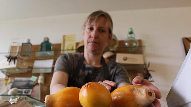 Eine Mitarbeiterin im Tropenhaus wiegt frisch geerntete Papaya ab. Foto: Anna-Lena Deuerling
