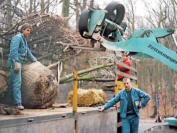 Die Aufgaben eines Gartenbaubetriebs sind vielfältig.