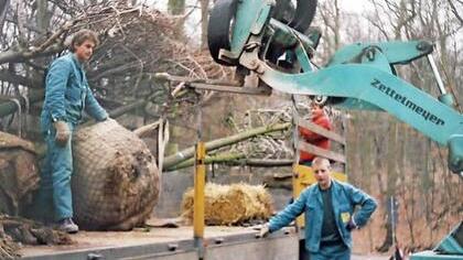 Die Aufgaben eines Gartenbaubetriebs sind vielfältig.