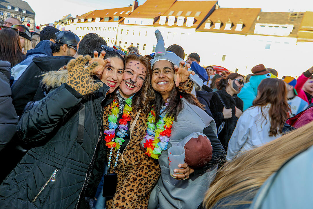 Fasching wird in Schweinfurt groß gefeiert!