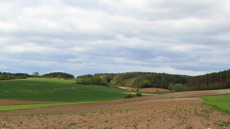 So sieht die Bl&uuml;hfl&auml;che von Landwirtin Mirjam Prechtel-Knapp aus.Mirjam Stumpf
