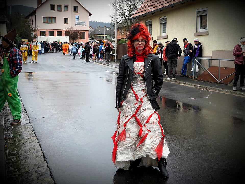 Fasching 2024 in Steinach