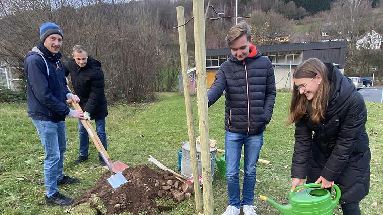 Sch&uuml;lerinnen und Sch&uuml;ler der 11. Klasse des Franz-Miltenberger-Gymnasiums Bad Br&uuml;ckenau pflanzen nach einem Versprechen im Religionsunterricht ein Apfelb&auml;umchen.