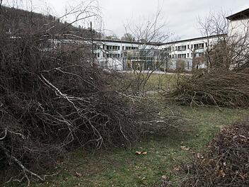 Die &Uuml;berbleibsel der Baumf&auml;llung f&uuml;r das neue &Auml;rztehaus im Georgi-Kurpark liegen noch.  Foto: Steffen Standke