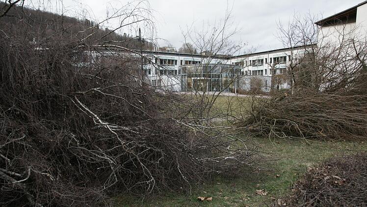 Die &Uuml;berbleibsel der Baumf&auml;llung f&uuml;r das neue &Auml;rztehaus im Georgi-Kurpark liegen noch.  Foto: Steffen Standke