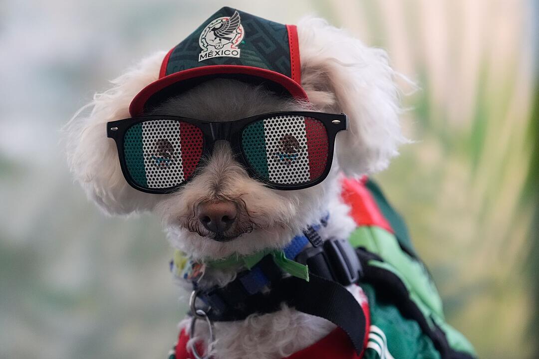 WM 2026 - Mexiko - S&uuml;dkorea