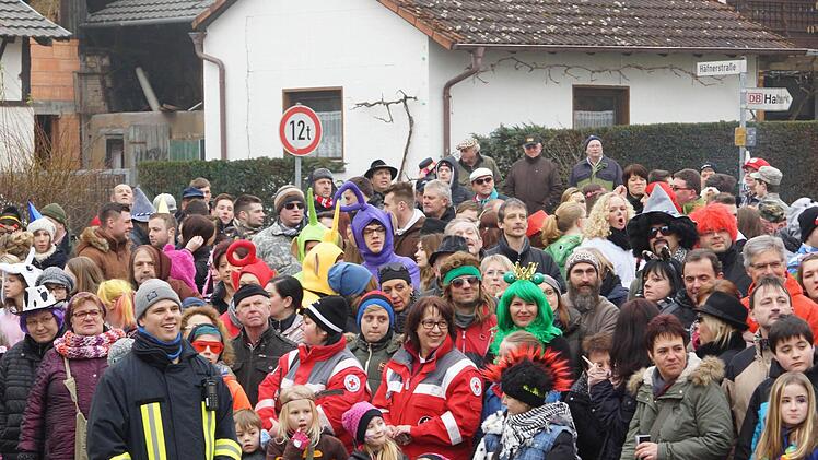 Faschingszug Diebach