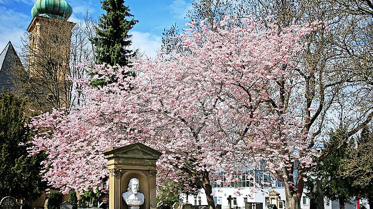 Der Kapellenfriedhof steht am Sonntag, 7. Juni, im Mittelpunkt des Welterbetages. Unter anderem widmet sich ein Programmpunkt der Restaurierung von Steinbauten.