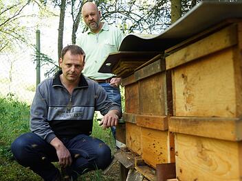 Jochen Huppmann und Matthias Kleinhenz (von links) inspizieren die erlahmte Flugtätigkeit an den Kästen. Foto: Arkadius Guzy