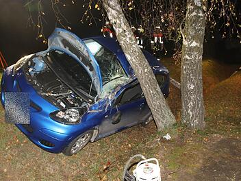 Foto: Michael Stelzner