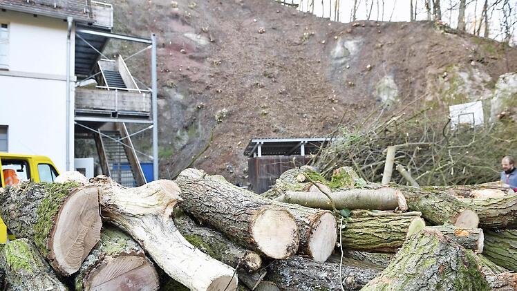 Die Stadt hat Gehölze hinter der "Wolfsschlucht" entfernen lassen, um den Hang sichern zu können.  Foto: Ronald Rinklef