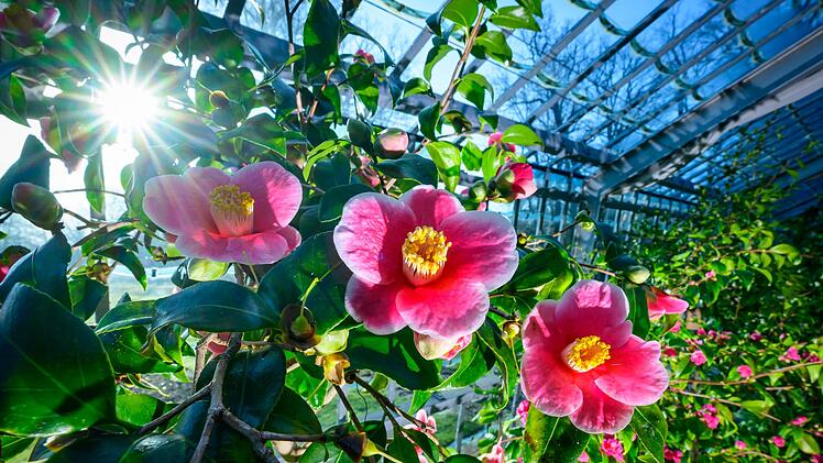 Fr&uuml;hlingshaftes Wetter in Brandenburg