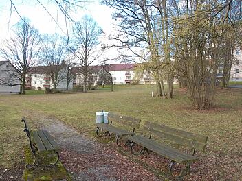 Der Forstgarten in Weidach soll im Rahmen eines Bürgerprojekts zu einem sozialen Treffpunkt mit neu angelegten Wegen, neuen Sitzgruppen und und neuen Bäumen werden.Foto: CT/Archiv