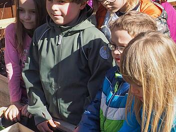 Erst bepflanzen die Kinder der Herzogenauracher Montessori-Schule ihre kleinen Hochbeete, die sie sich dann mit in ihre Klasse nehmen d&uuml;rfen. Foto: Theresa Schiffl