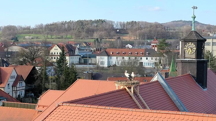 Glück gehabt: Am Karfreitag hat das Storchenpaar sein neues Zuhause bezogen. Foto: Markt Mainleus