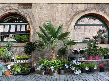 Coburg: Geschäftsbetreiberin geht nach Ordnungsamtsbesuch drastischen Schritt - "kämpfen ums Überleben"