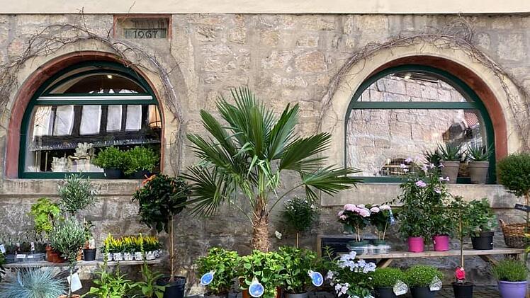 Coburg: Geschäftsbetreiberin geht nach Ordnungsamtsbesuch drastischen Schritt - "kämpfen ums Überleben"