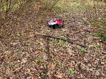 Tierheim Hof: Grausamer Fund in Körbchen - "so etwas noch nie erlebt"