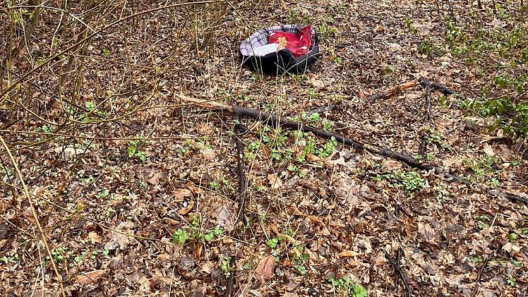 Tierheim Hof teilt furchtbare Bilder: "Habe so etwas noch nie erlebt"