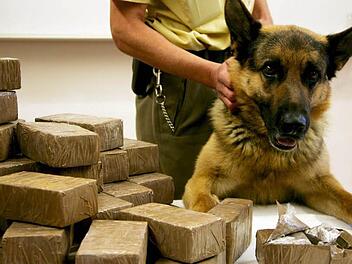 Haschisch, das hier von einem Polizeihund entdeckt worden ist, wird in solchen Päckchen mit mehreren Platten vertrieben. Im Jahr 2013 ist der Bayreuther Kripo ein großer Schlag gegen die Strukturen des Drogenhandels in Oberfranken gelungen. Infolge der Ermittlungen kam es zu 160 (!) Strafverfahren - am Dienstag stand ein Dealer der unteren Ebene in Kulmbach vor Gericht.  Foto: Matthias Schrader / dpa