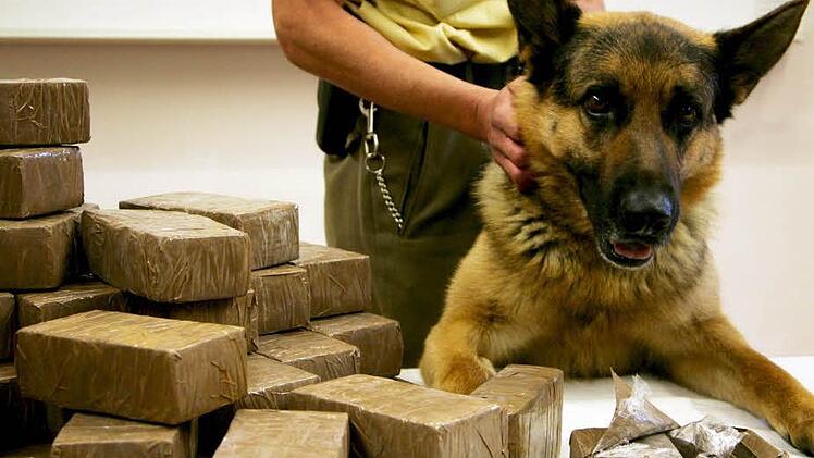 Haschisch, das hier von einem Polizeihund entdeckt worden ist, wird in solchen Päckchen mit mehreren Platten vertrieben. Im Jahr 2013 ist der Bayreuther Kripo ein großer Schlag gegen die Strukturen des Drogenhandels in Oberfranken gelungen. Infolge der Ermittlungen kam es zu 160 (!) Strafverfahren - am Dienstag stand ein Dealer der unteren Ebene in Kulmbach vor Gericht.  Foto: Matthias Schrader / dpa
