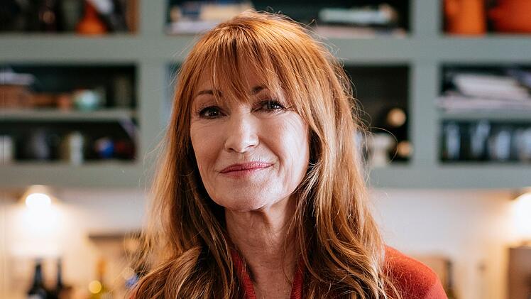 Seit 2002 spielt Jane Seymour die Hauptrolle in der Krimireihe "Harry Wild - M&ouml;rderjagd in Dublin".
