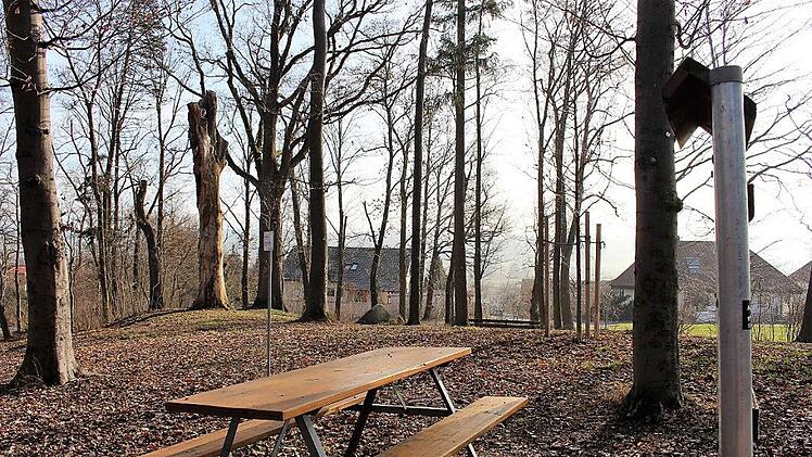 Die Lutherhöhe oberhalb von Mühlhausen mit ihrem historischen Scheidingshain Foto: Evi Seeger
