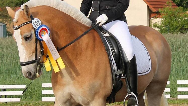 Franziska Viktorin holte sich auf "Lovely Anabelle" den Sieg in der E-Dressur.