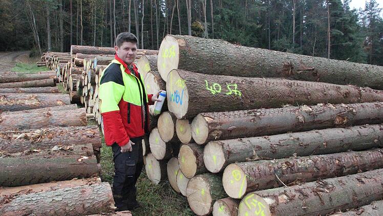 Einsatzleiter Tobias Wicklein von der Waldbesitzervereinigung Kronach-Rothenkirchen markiert die Fixlängen, damit sie den verschiedenen Waldbesitzern zugeordnet werden können.  Foto: Friedwald Schedel