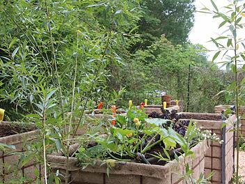 Urban Gardening: Die Hochbeete sind vermietet und können das ganze Jahr genutzt werden. Foto: Simone Bastian