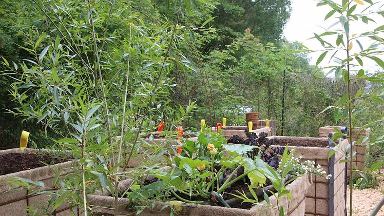 Urban Gardening: Die Hochbeete sind vermietet und können das ganze Jahr genutzt werden. Foto: Simone Bastian