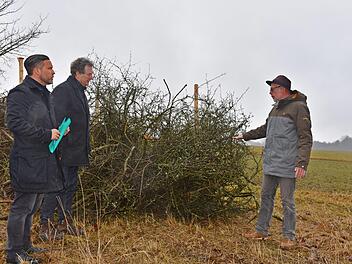 Im Moment sieht es noch wie wildes Gestrüpp aus. Bald entsteht in der Witzmannsberger Flur eine Benjeshecke, die der Artenvielfalt und damit dem Naturschutz dient. Martin Finzel, Rainer Scholz und Frank Reißenweber ( von links) stellten am Montag die Anlage vor.Gabi Arnold