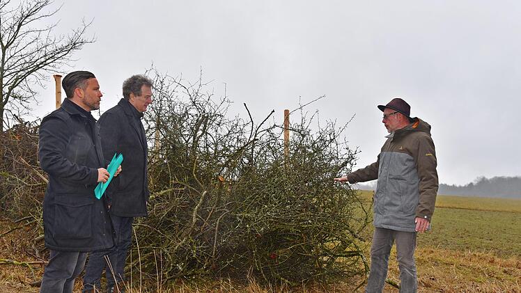 Im Moment sieht es noch wie wildes Gestrüpp aus. Bald entsteht in der Witzmannsberger Flur eine Benjeshecke, die der Artenvielfalt und damit dem Naturschutz dient. Martin Finzel, Rainer Scholz und Frank Reißenweber ( von links) stellten am Montag die Anlage vor.Gabi Arnold