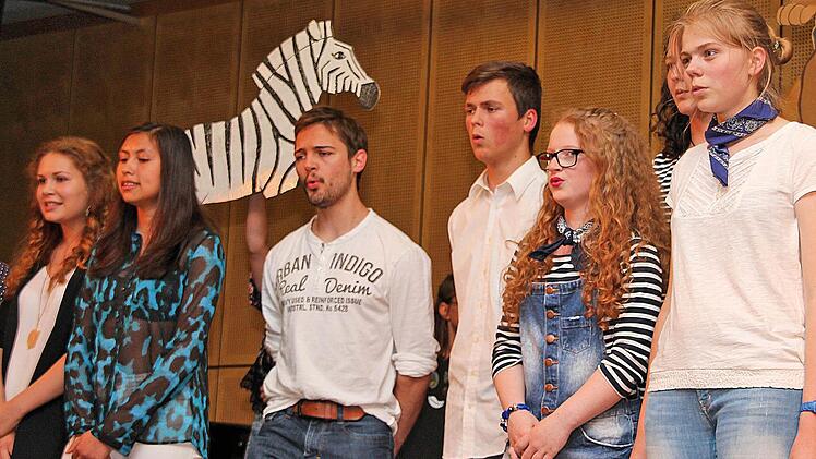 Die Schüler des Philipp-Schönborn-Gymnasiums Münnerstadt begeisterten bei ihrem Sommerkonzert mit Musik und Gesang. Foto: Dieter Britz