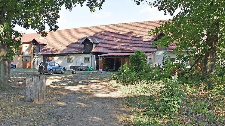 Zwei Meter vom Baum (rechts im Bild) entfernt wird auf dem Von-Seckendorff-Platz ein neuer Weg angelegt und eine Hainbuchenhecke gepflanzt.
