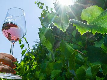 Nordheimer Hoftage finden bald statt - Kellerführung, Live-Musik, Hüpfburg & Co. Nordheimer Hoftage finden bald statt - Kellerführung, Live-Musik, Hüpfburg & Co.