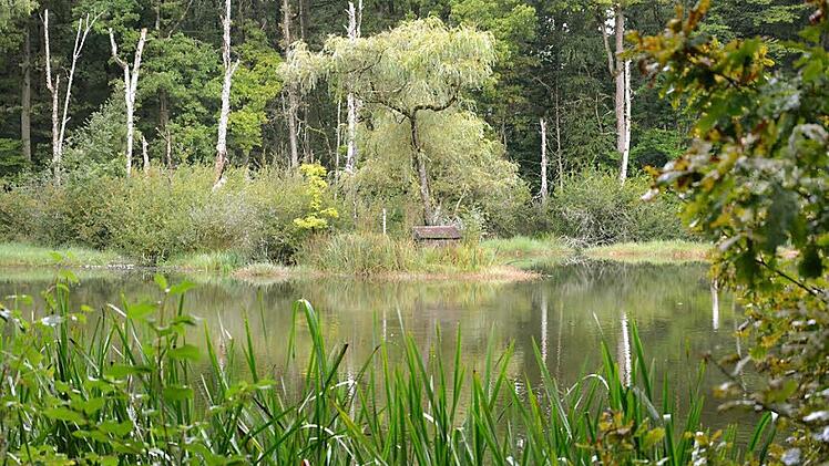 Im idyllischen Windseller See wird bald kein Wasser mehr sein. Das ist aber nur vorübergehend. Foto: Björn Hein