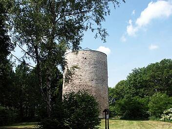 Der Magnusturm in Kasendorf ist ein bekanntes und beliebtes Ausflugsziel im Landkreis Kulmbach. Doch die Aussicht von ganz oben war aufgrund des dichten Baumbestands nicht optimal. Foto: Archiv/Hänseler