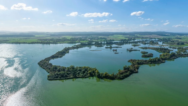 Blaualgen-Alarm am Altm&uuml;hlsee - Gesundheitsamt spricht Badewarnung aus