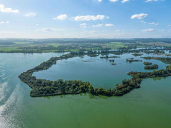 Blaualgen-Alarm am Altm&uuml;hlsee - Gesundheitsamt spricht Badewarnung aus