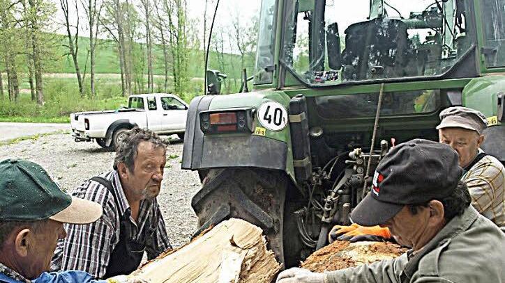 Alljährlich erhalten die Mitglieder der Waldkörperschaften Heckig, Busch und Kuhplatz Brennholz. Auf unserem Foto spaltet Ludwig Hilpert (ohne Mütze) mit seinen Helfern mächtige Baumstücke, die anschließend als Ster gebündelt werden. Foto: Stefan Geiger