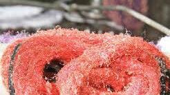 Eine witzige Idee, wenn auch nicht verkehrssicher: Wo sonst die Lampe hängt, blüht eine Rose.