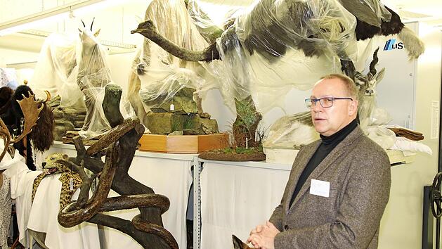 Museumsleiter Carsten Ritzau erlaubte den Besuchern des Naturkundemuseums einen Blick hinter die Kulissen. Foto: Wolfgang Desombre